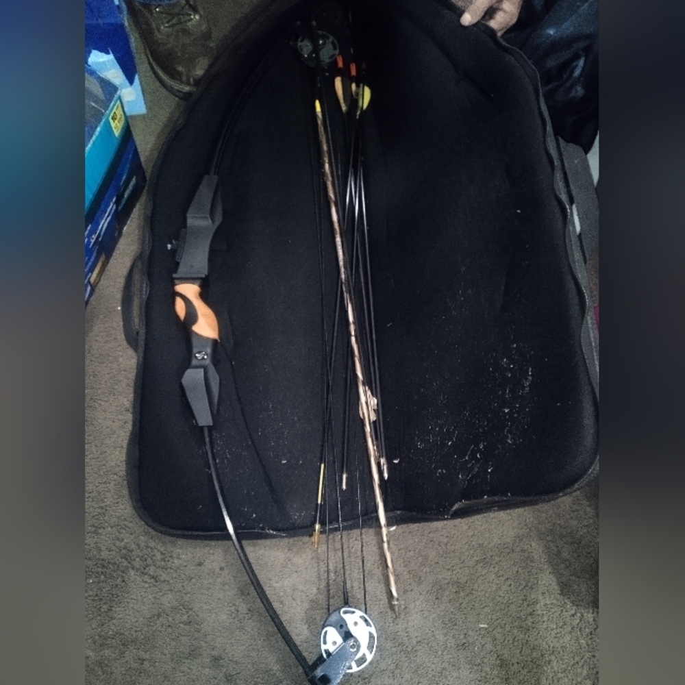Bow and arrows - Picture 2 of 2